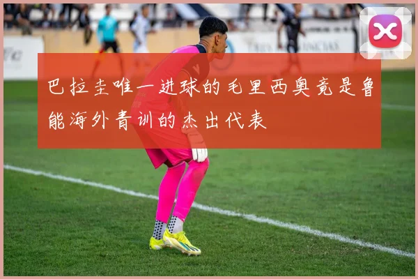 巴拉圭唯一进球的毛里西奥竟是鲁能海外青训的杰出代表
